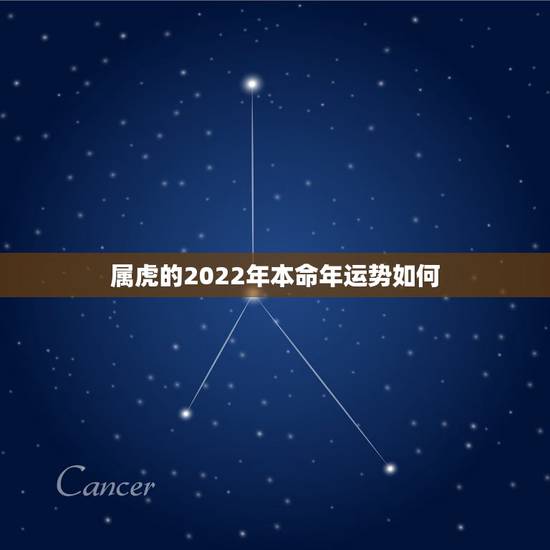 属虎的2022年本命年运势如何,86年属虎人最穷不过36岁 属虎的2022年本命年运势如何,86年属虎人最穷不过36岁