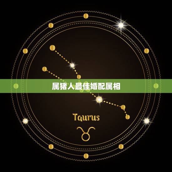 属猪人最佳婚配属相,属猪的和什么属相最配 属猪人最佳婚配属相,属猪的和什么属相最配