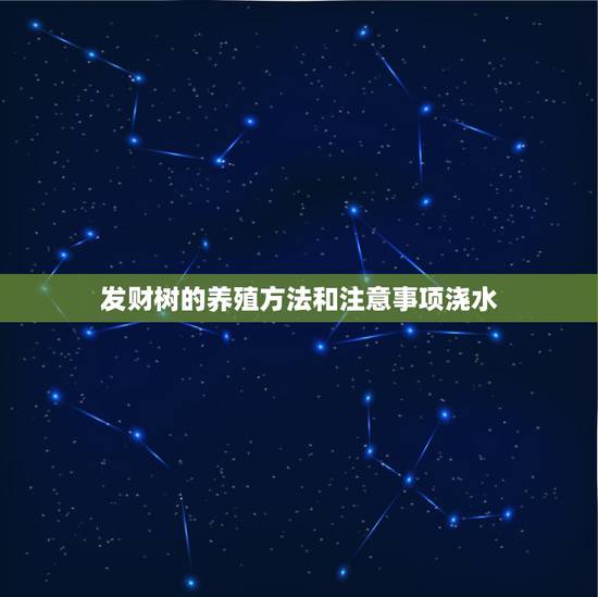 发财树的养殖方法和注意事项浇水，发财树的养殖方法和注意事项分别是？