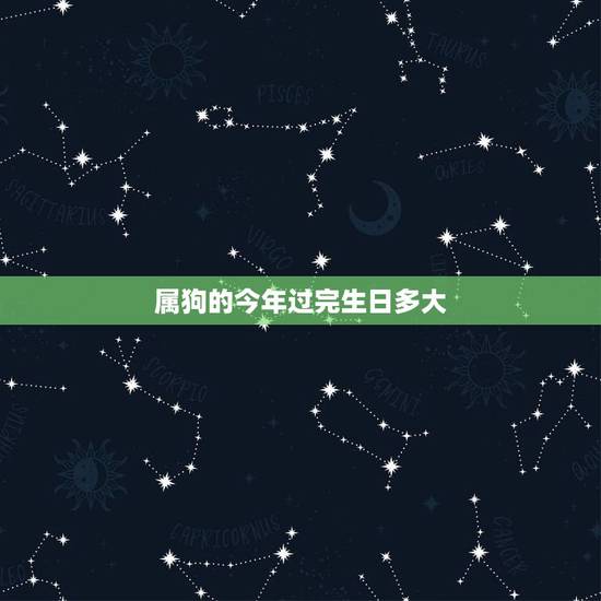 属狗的今年过完生日多大，七零后属狗的今年多大了
