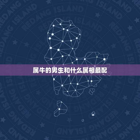 属牛的男生和什么属相最配,属牛男性和什么属相女性最配 属牛的男生和什么属相最配,属牛男性和什么属相女性最配
