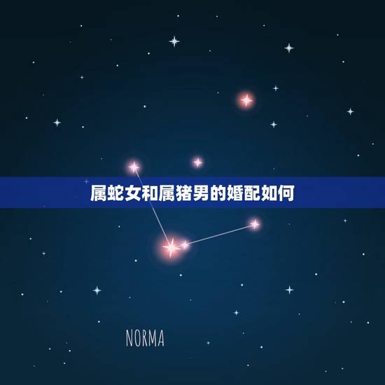 属蛇女和属猪男的婚配如何,女属蛇和男属猪配吗?属蛇的和属猪的配吗? 属蛇女和属猪男的婚配如何,女属蛇和男属猪配吗?属蛇的和属猪的配吗?