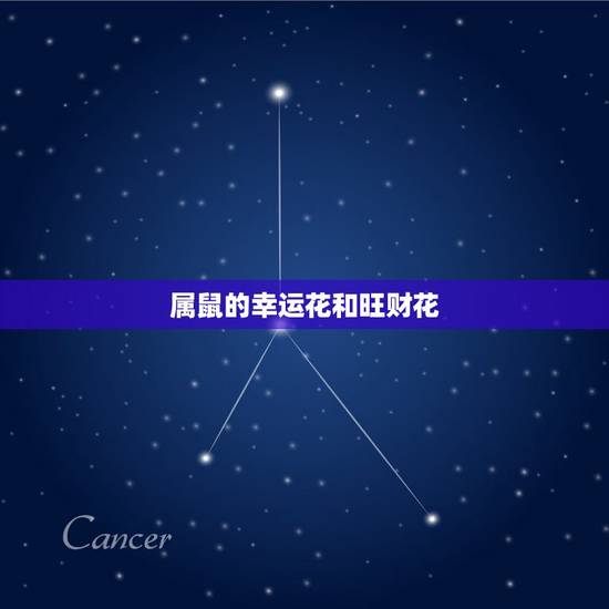属鼠的幸运花和旺财花,十二生肖旺财植物花草 属鼠的幸运花和旺财花,十二生肖旺财植物花草