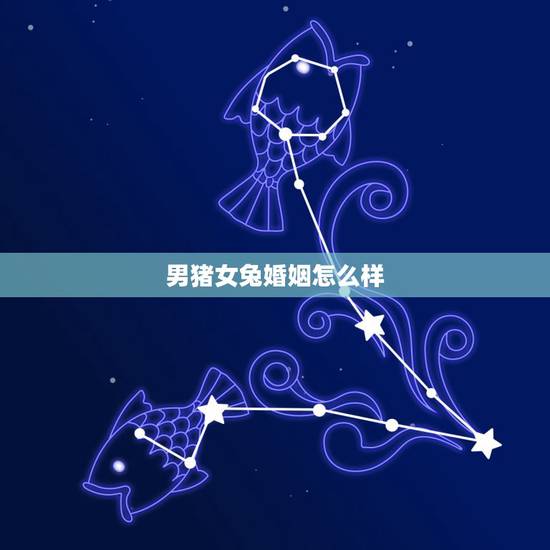 男猪女兔婚姻怎么样,男猪女兔婚姻和财运怎么样 男猪女兔婚姻怎么样,男猪女兔婚姻和财运怎么样