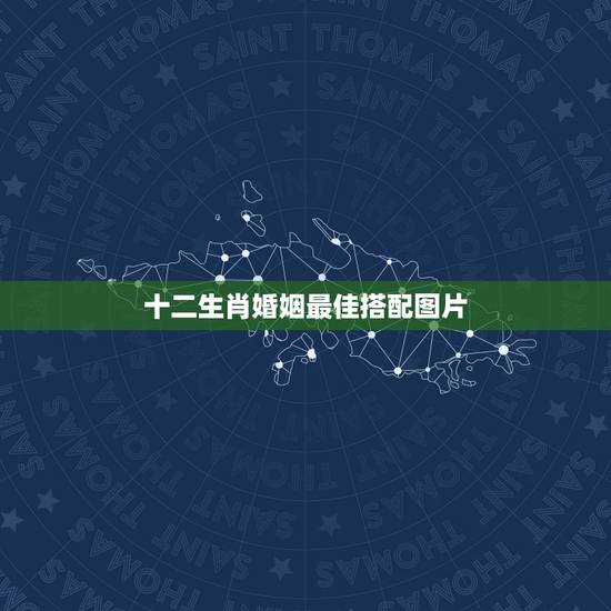 十二生肖婚姻最佳搭配图片，高分悬赏！十二生肖的婚姻搭配，命运分析？