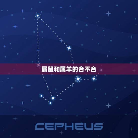 属鼠和属羊的合不合,属鼠和属羊的合财吗 属鼠和属羊的合不合,属鼠和属羊的合财吗