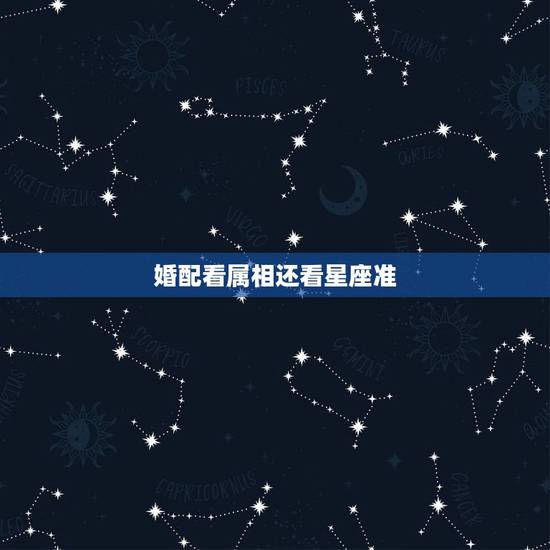 婚配看属相还看星座准，找对象是看属相准，还是看是什么命比较准？星座学靠