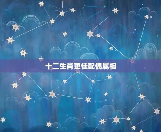 十二生肖更佳配偶属相,十二生肖男女更佳配对 十二生肖更佳配偶属相,十二生肖男女更佳配对