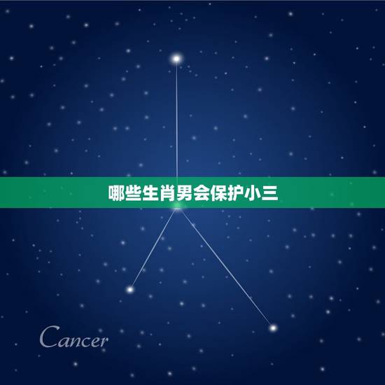 哪些生肖男会保护小三,最不会撒谎的3个生肖男是哪些? 哪些生肖男会保护小三,最不会撒谎的3个生肖男是哪些?