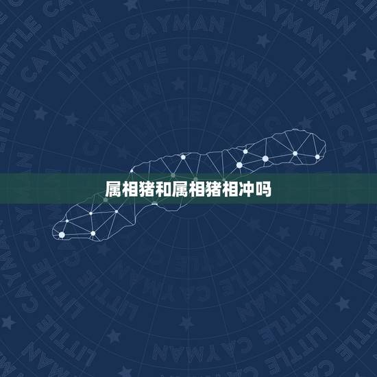 属相猪和属相猪相冲吗，属猪和什么生肖相冲