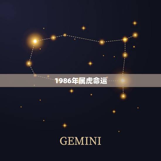 1986年属虎命运,86年属虎是什么命 1986年属虎命运,86年属虎是什么命