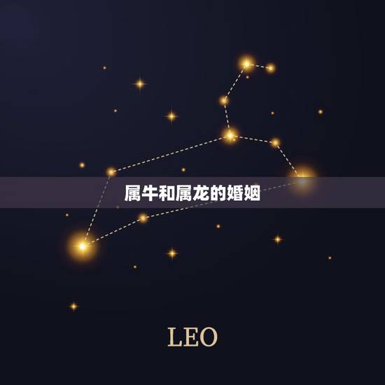 属牛和属龙的婚姻，属龙跟属牛的婚姻状况