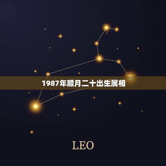 1987年腊月二十出生属相,1987年腊月二十四出生的属什么? 1987年腊月二十出生属相,1987年腊月二十四出生的属什么?