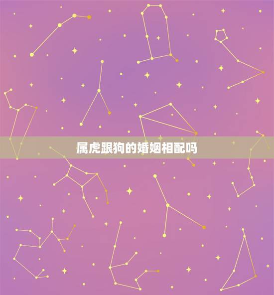 属虎跟狗的婚姻相配吗，82属狗女和86属虎男