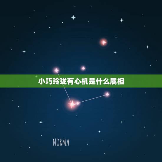 小巧玲珑有心机是什么属相，十二生肖中(小巧玲珑有心机)是指十二生肖中的