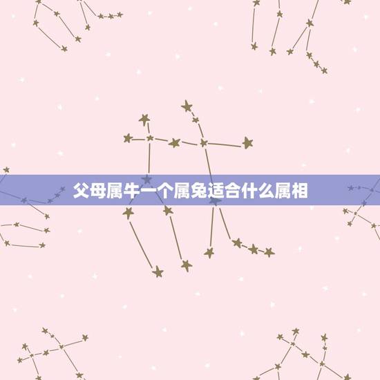 父母属牛一个属兔适合什么属相,属兔和属牛的应该生个什么属相的宝宝? 父母属牛一个属兔适合什么属相,属兔和属牛的应该生个什么属相的宝宝?