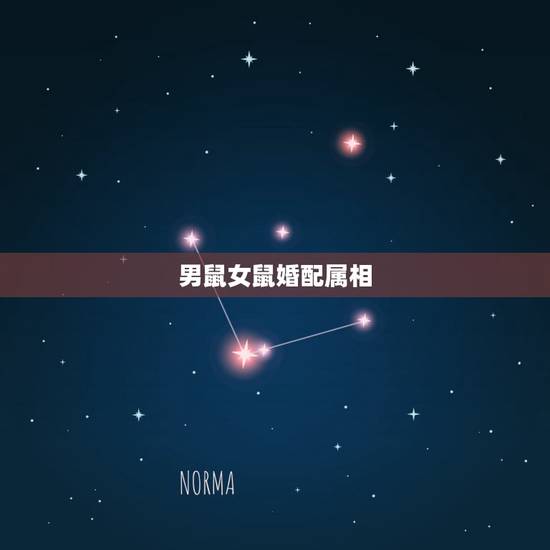 男鼠女鼠婚配属相,属鼠的和什么属相最配 男鼠女鼠 男鼠女鼠婚配属相,属鼠的和什么属相最配 男鼠女鼠