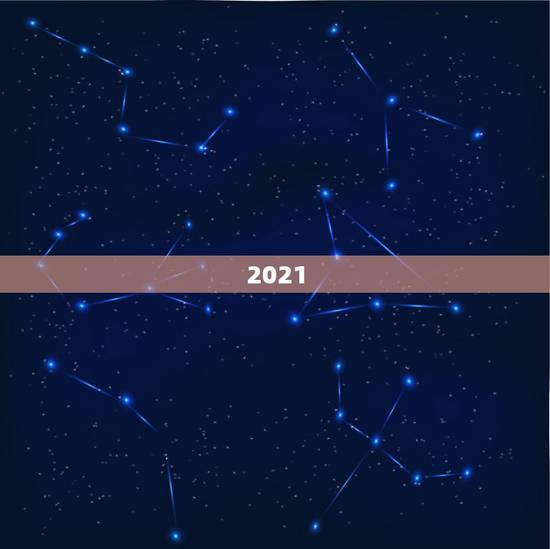 2021.1.1属相，2021年1月1日出生的宝宝属什么