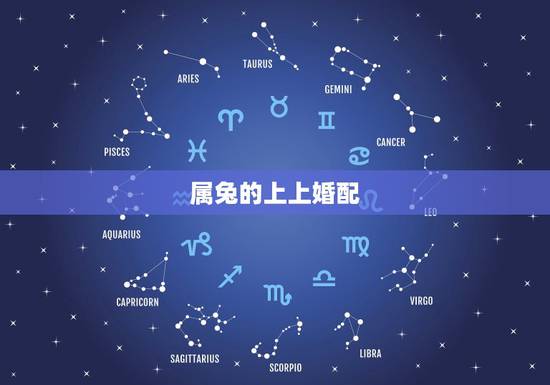 属兔的上上婚配,男兔女鼠夫妻属相合吗 属兔的上上婚配,男兔女鼠夫妻属相合吗
