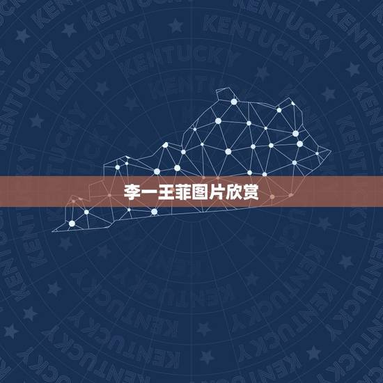 李一王菲图片欣赏,王菲跟李一真 李一王菲图片欣赏,王菲跟李一真
