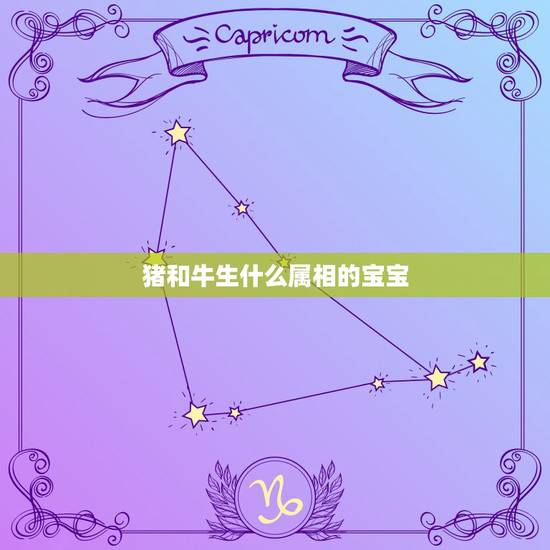 猪和牛生什么属相的宝宝，男属猪与女属牛生什么属相的孩子好