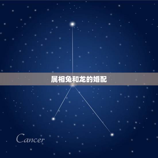 属相兔和龙的婚配，属相婚配：男属龙和女属兔相配吗？