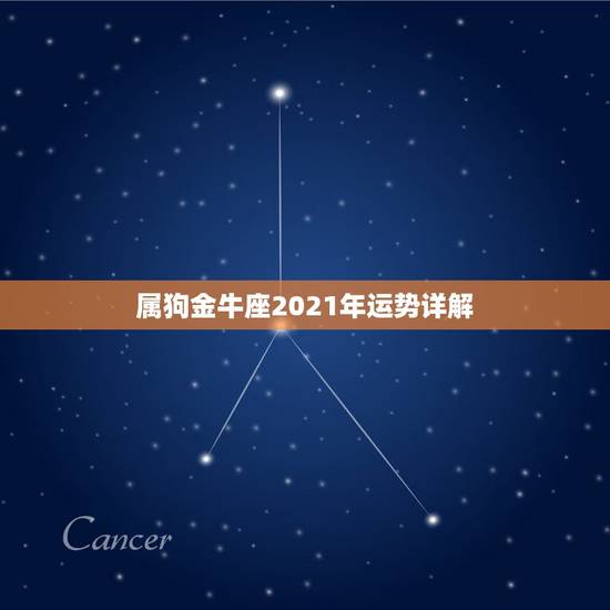 属狗金牛座2021年运势详解，金牛座2021年运势