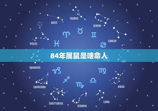 84年属鼠是啥命人，2022 年属猪人是什么命
