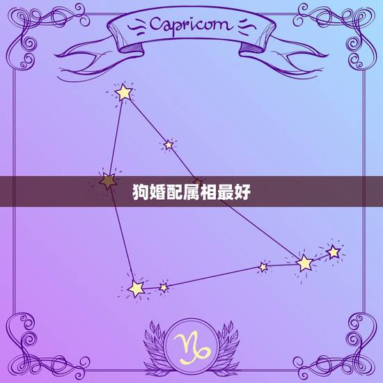 狗婚配属相最好，狗跟狗属相相配可以吗