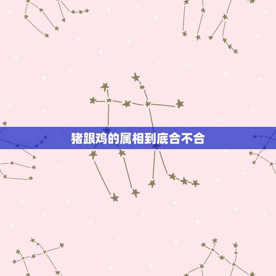 猪跟鸡的属相到底合不合,属猪的与属鸡的相配吗? 猪跟鸡的属相到底合不合,属猪的与属鸡的相配吗?