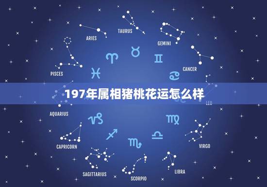 197年属相猪桃花运怎么样,1971年属猪人是什么命 197年属相猪桃花运怎么样,1971年属猪人是什么命
