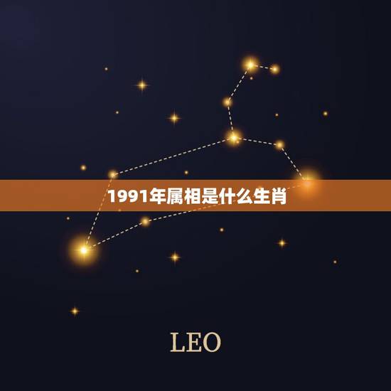1991年属相是什么生肖，1991年出生属相是什么