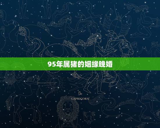 95年属猪的姻缘晚婚,95年属猪与属猪的姻缘咋样 95年属猪的姻缘晚婚,95年属猪与属猪的姻缘咋样