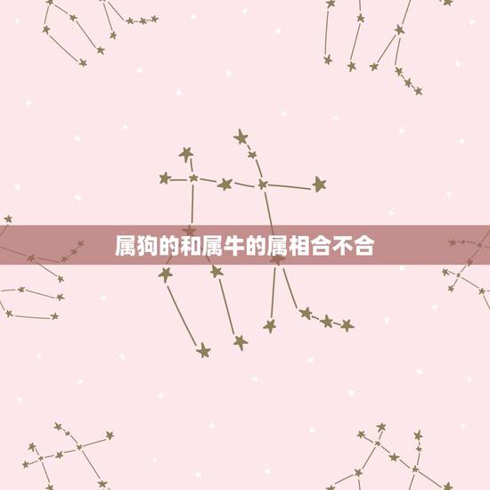 属狗的和属牛的属相合不合，属牛和属狗的人合不合