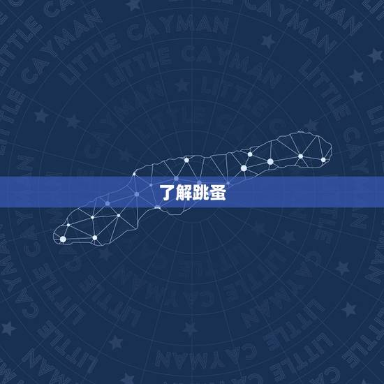 了解跳蚤 了解跳蚤
