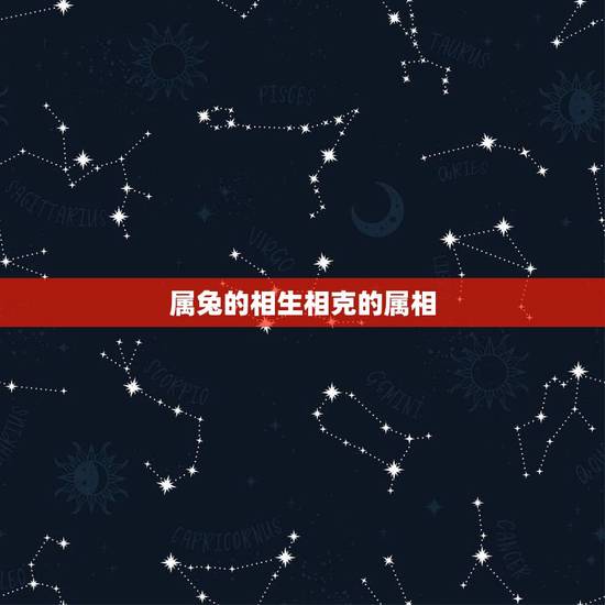 属兔的相生相克的属相，属相相生相克关系