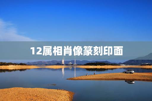 12属相肖像篆刻印面，我想刻一个篆刻生肖龙图案，龙首是面向左还是面向右