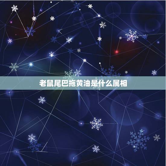 老鼠尾巴拖黄油是什么属相，尾巴粗粗长长的像老鼠，这个是什么动物？
