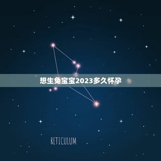 想生兔宝宝2023多久怀孕,2023年生兔备孕表 想生兔宝宝2023多久怀孕,2023年生兔备孕表