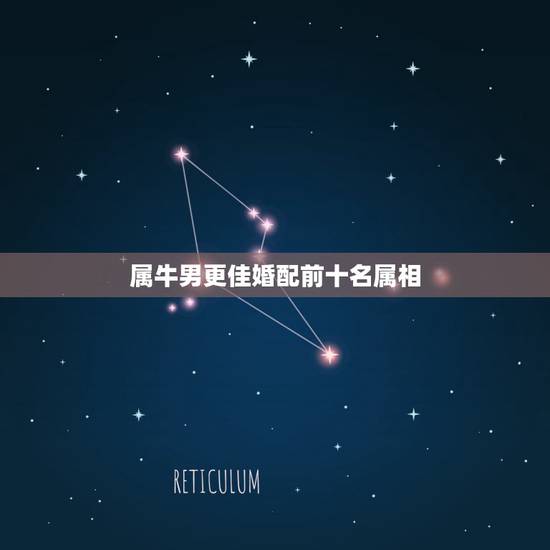 属牛男更佳婚配前十名属相，属牛跟什么属相最配