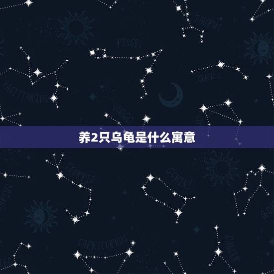 养2只乌龟是什么寓意,养乌龟有什么寓意? 养2只乌龟是什么寓意,养乌龟有什么寓意?
