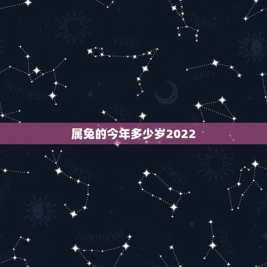 属兔的今年多少岁2022,属兔的出生年份 属兔的今年多少岁2022,属兔的出生年份
