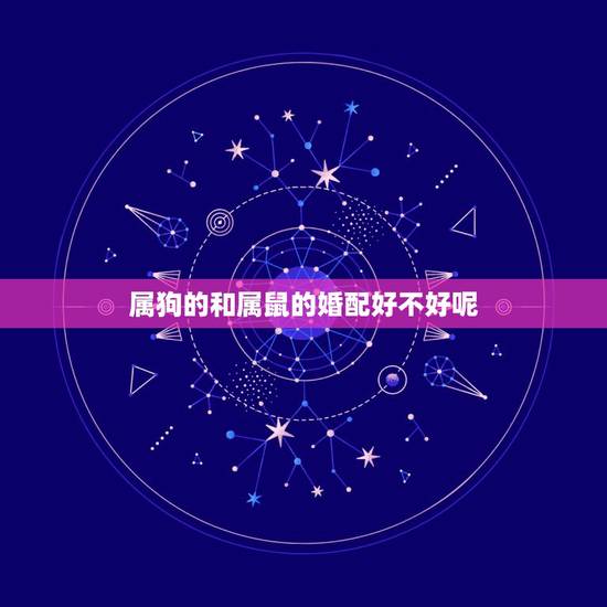 属狗的和属鼠的婚配好不好呢，属狗的和属鼠的婚配合适吗