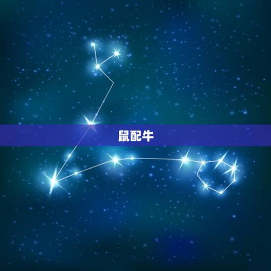 鼠配牛 鼠配牛