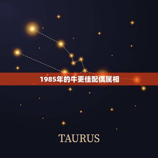 1985年的牛更佳配偶属相,85年属牛是什么命 1985年的牛更佳配偶属相,85年属牛是什么命