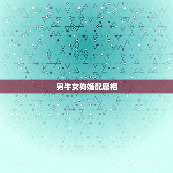 男牛女狗婚配属相，男属狗和女属牛是否合婚
