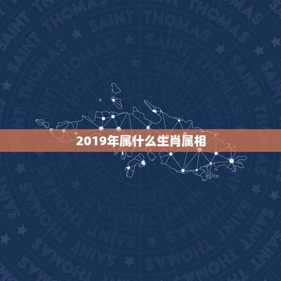 2019年属什么生肖属相，2019年是什么生肖年