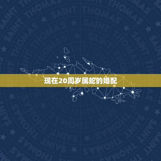 现在20周岁属蛇的婚配，蛇和什么生肖最配？属蛇的属相婚配表大全