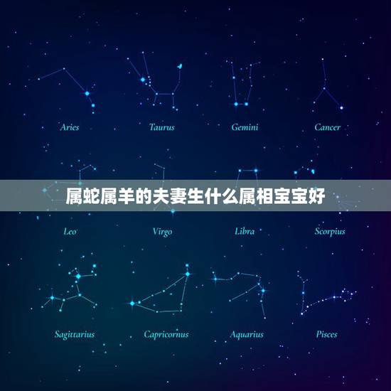 属蛇属羊的夫妻生什么属相宝宝好，属龙和什么属相不合