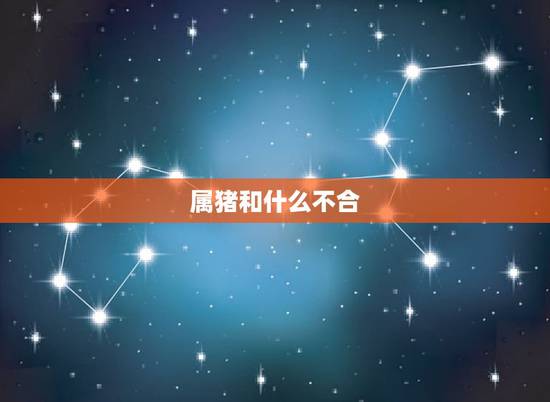 属猪和什么不合,1990马和1995猪合不合 属猪和什么不合,1990马和1995猪合不合